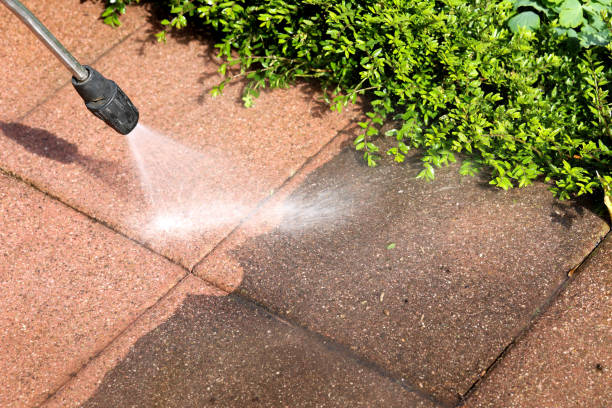 Best Best Pressure Washing Companies  in Olympia Heights, FL